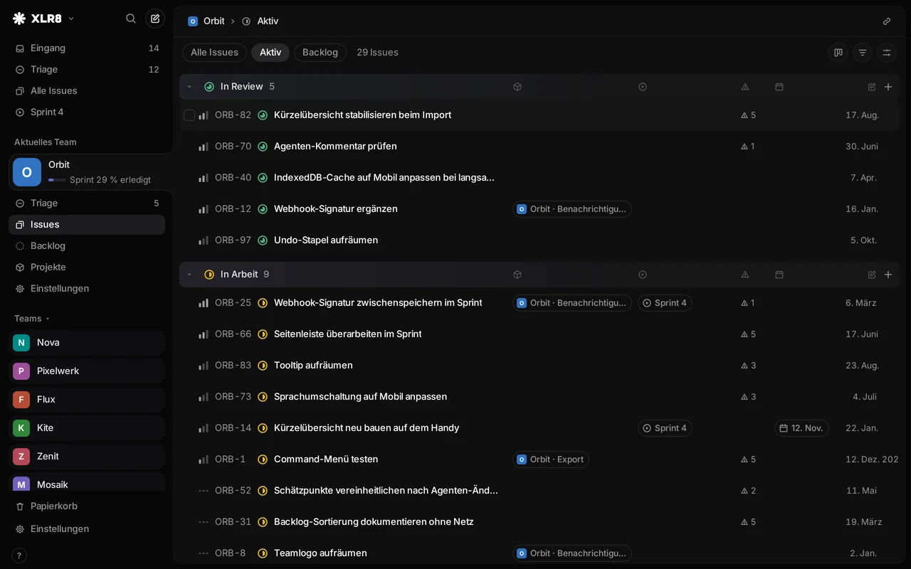 XLR8 issue list grouped by status, with the team sidebar on the left. Sample data.